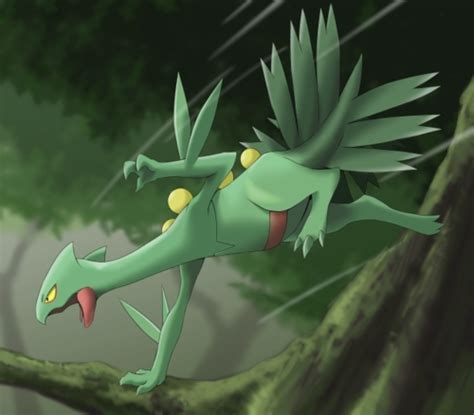 sceptile photo|Sceptile .